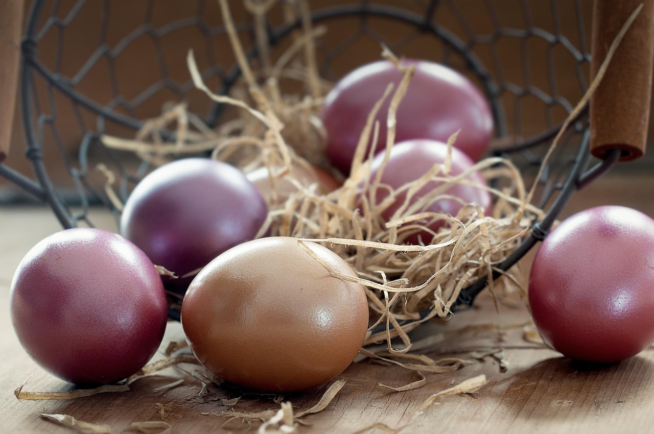 Easter eggs, basket, color in Carlsbad, CA